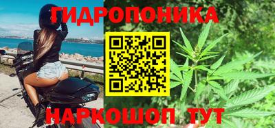твердый Можга