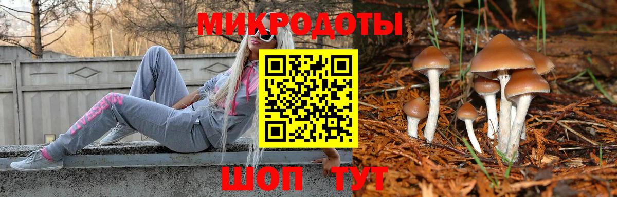 Галлюциногенные грибы Psilocybe Верхняя Салда