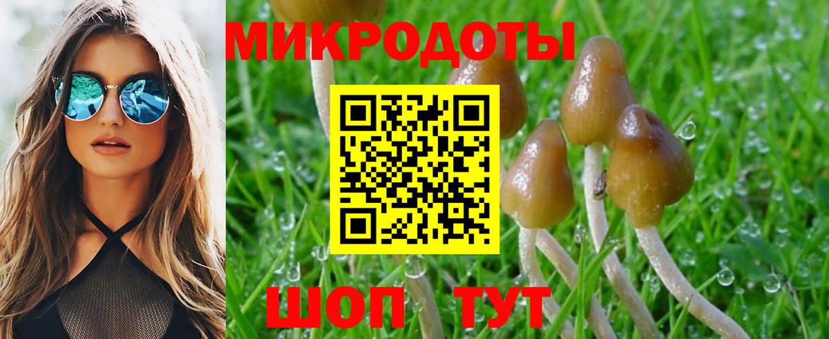 что такое   Галлюциногенные грибы ЛСД  Псилоцибиновые грибы Magic Shrooms  Вход с VPN  Верхняя Салда 